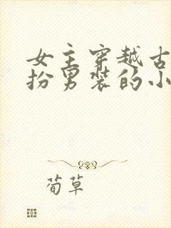 女主穿越古代女扮男装的小说