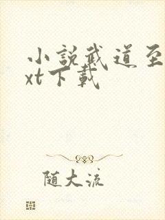 小说武道至尊txt下载