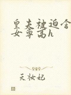 皇夫被迫含玉势女尊高h