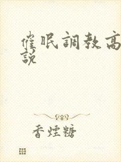 催眠调教高辣小说