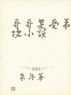 哥哥是受弟弟是攻小说