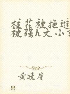 校花被拖进工地被强h文小说封面