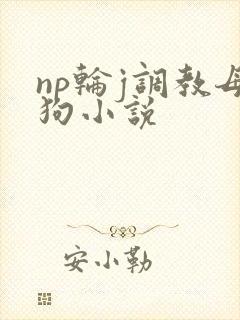 np轮j调教母狗小说