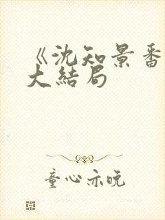《沈知景番外》大结局