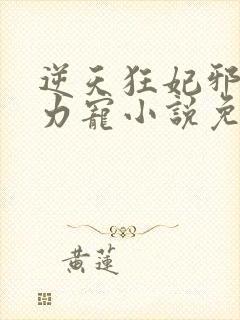 逆天狂妃邪帝用力宠小说免费封面