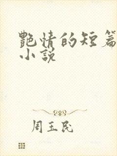 艳情的短篇合集小说封面