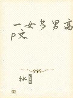 一女多男高hnp文
