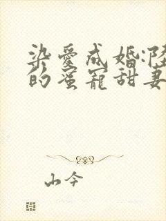 染爱成婚:陆少的蜜宠甜妻