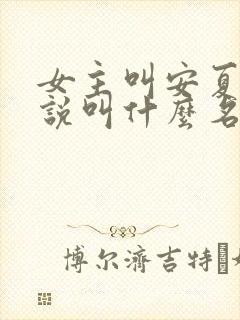 女主叫安夏的小说叫什么名字