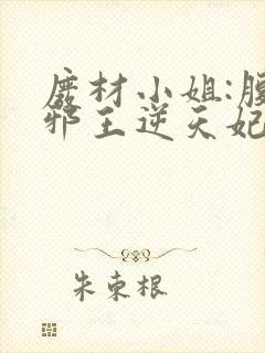 废材小姐:腹黑邪王逆天妃 叶轻轻封面