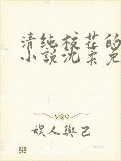 清纯校花的日常小说沈柔免费阅读封面