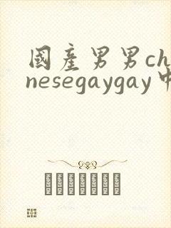 国产男男chinesegaygay中国帅哥网站封面