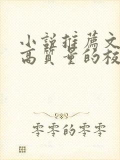 小说推荐文笔好高质量的校园文