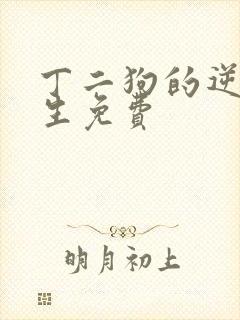 丁二狗的逆袭人生免费封面