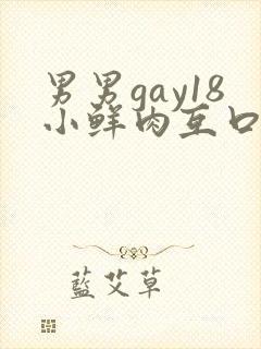 男男gay18小鲜肉互口1