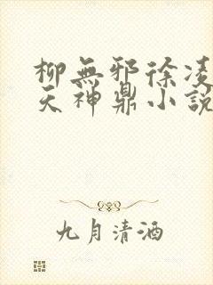柳无邪徐凌雪吞天神鼎小说在线阅读