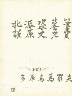 北派盗墓笔记小说原文免费阅读