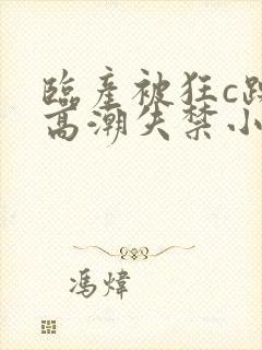 临产被狂c躁到高潮失禁小说封面