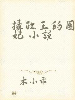 摄政王的团宠医妃 小说
