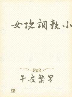 女攻调教小说