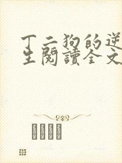 丁二狗的逆袭人生阅读全文全文