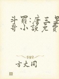 斗罗:唐三是我哥小说免费阅读