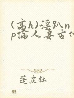 (高h)淫趴np伦人妻古代