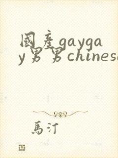 国产gaygay男男chinese
