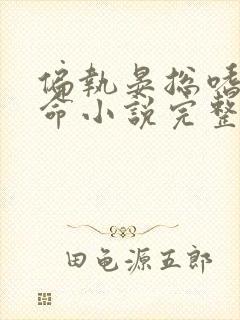 偏执晏总嗜她如命小说完整封面