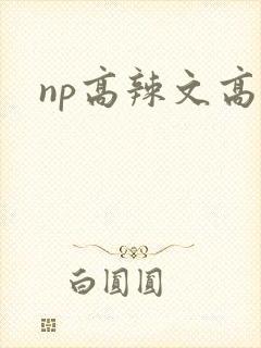 np高辣文高h