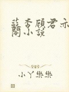 苏杳顾君亦笔趣阁小说封面