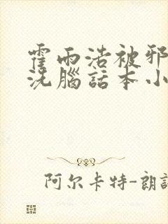 霍雨浩被邪魂师洗脑话本小说