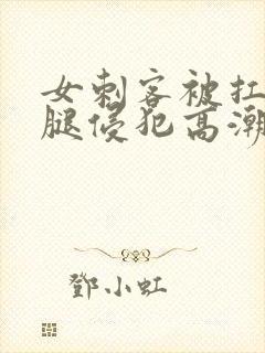 女刺客被扛起玉腿侵犯高潮h小说