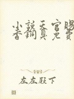 小说天官赐福墨香铜臭免费阅读全文