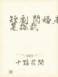 短剧 闪婚老公是总裁