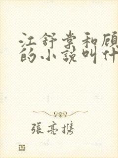 江舒棠和顾政南的小说叫什么