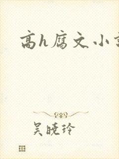 高h腐文小说