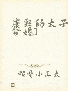 康熙的太子妃[公媳]