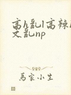 高h乱l高辣h文乱np