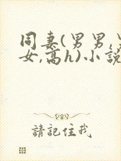 同妻(男男,男女,高h)小说