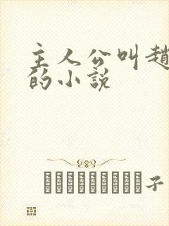主人公叫赵凤声的小说