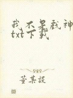 我不是戏神小说txt下载