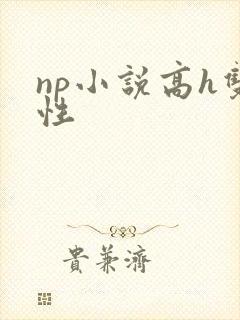 np小说高h双性
