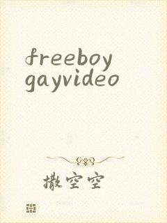 freeboygayvideo