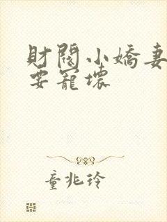 财阀小娇妻叔你要宠坏