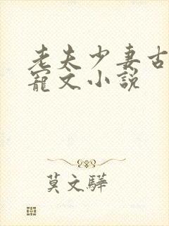 老夫少妻古言甜宠文小说