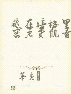 藏在暗格里的秘密免费观看