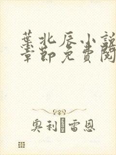 叶北辰小说最新章节免费阅读无弹窗封面