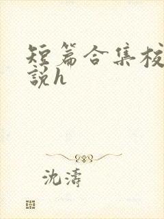 短篇合集校园小说h封面