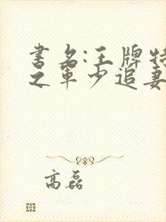 书籍封面
